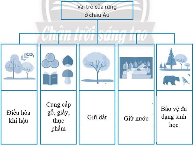 Sách bài tập Địa lí 7 Bài 3: Phương thức con người khai thác, sử dụng và bảo vệ thiên nhiên châu Âu - Chân trời sáng tạo (ảnh 1)