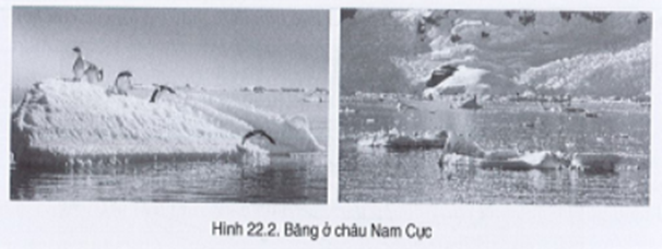 Sách bài tập Địa lí 7 Bài 22: Châu Nam Cực - Cánh diều (ảnh 1)