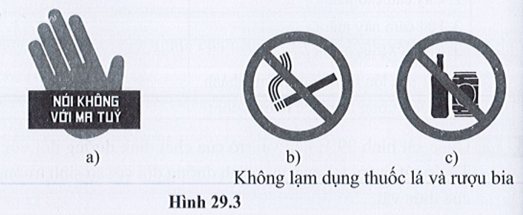 SBT Khoa học tự nhiên 7 Bài 29: Khái quát về sinh trưởng và phát triển ở sinh vật - Cánh diều (ảnh 1)