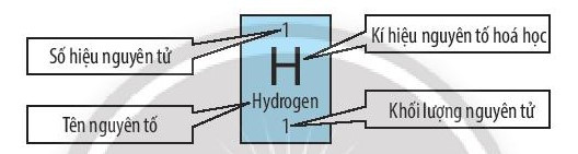 SBT Khoa học tự nhiên 7 Bài 4: Sơ lược về bảng tuần hoàn các nguyên tố hóa học - Chân trời sáng tạo (ảnh 1)