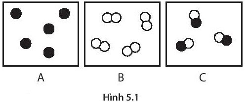 SBT Khoa học tự nhiên 7 Bài 5: Phân tử - đơn chất - hợp chất - Kết nối tri thức (ảnh 1)