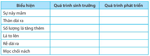 SBT Khoa học tự nhiên 7 Bài 38: Thực hành: Quan sát, mô tả sự sinh trưởng và phát triển ở một số sinh vật - Kết nối tri thức (ảnh 1)