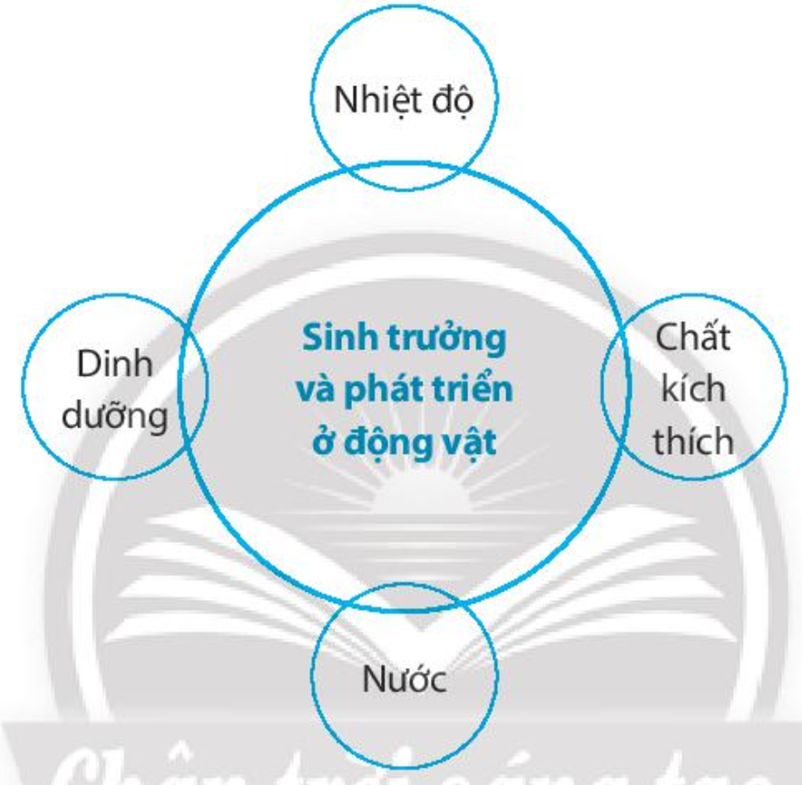 SBT Khoa học tự nhiên 7 Bài 36: Thực hành: Chứng minh sinh trưởng và phát triển ở thực vật - Chân trời sáng tạo (ảnh 1)