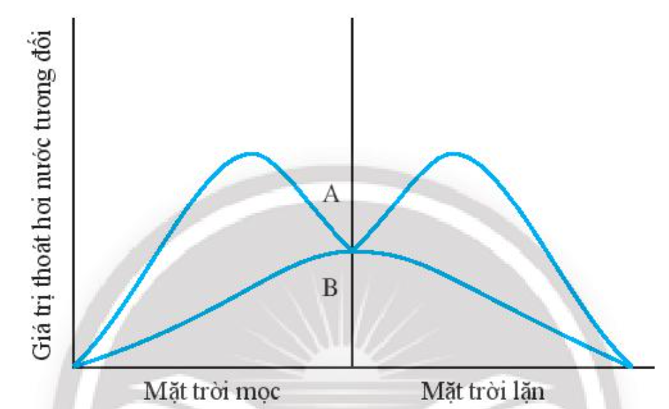 SBT Khoa học tự nhiên 7 Bài 29: Trao đổi nước và các chất dinh dưỡng ở thực vật - Chân trời sáng tạo (ảnh 1)