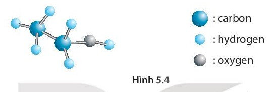 SBT Khoa học tự nhiên 7 Bài 5: Phân tử - đơn chất - hợp chất - Kết nối tri thức (ảnh 1)