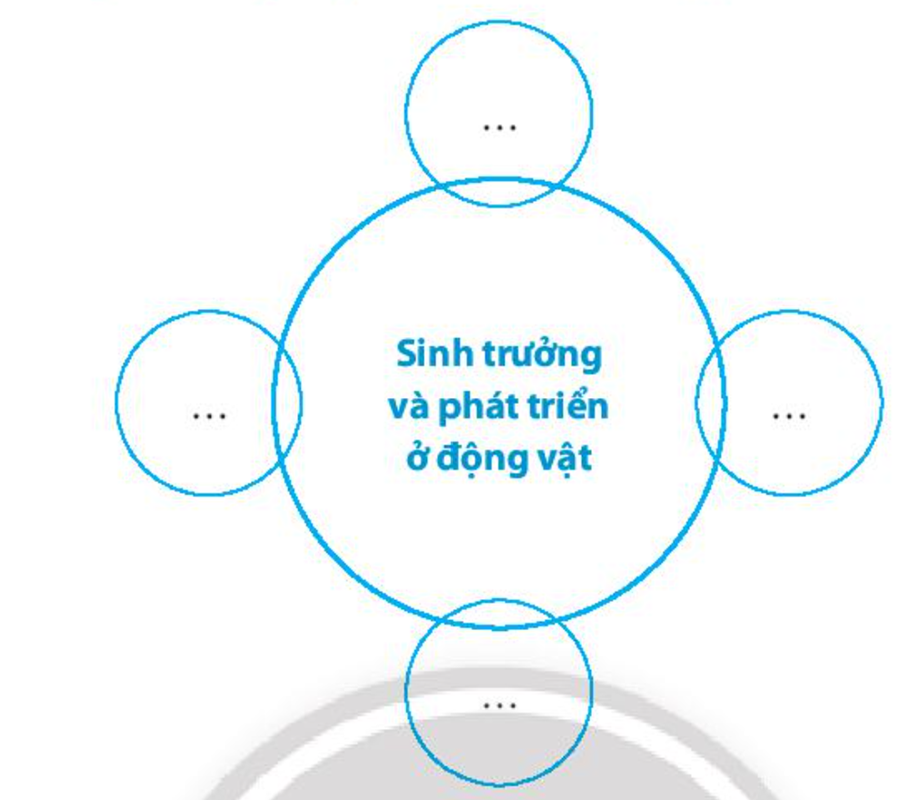 SBT Khoa học tự nhiên 7 Bài 36: Thực hành: Chứng minh sinh trưởng và phát triển ở thực vật - Chân trời sáng tạo (ảnh 1)