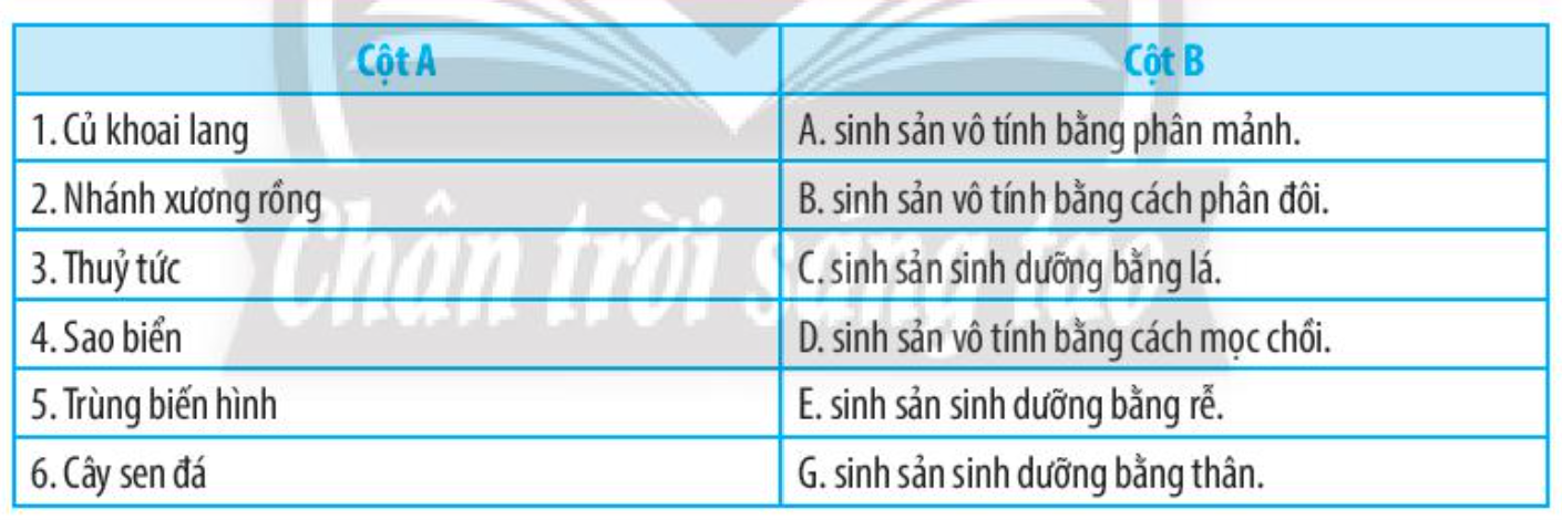 SBT Khoa học tự nhiên 7 Bài 37: Sinh sản ở sinh vật - Chân trời sáng tạo (ảnh 1)