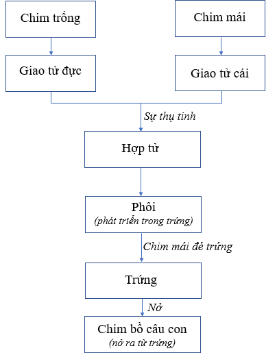 SBT Khoa học tự nhiên 7 Bài 37: Sinh sản ở sinh vật - Chân trời sáng tạo (ảnh 1)