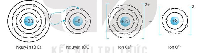 SBT Khoa học tự nhiên 7 Bài 6: Giới thiệu về liên kết hóa học - Kết nối tri thức (ảnh 1)