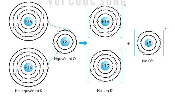 SBT Khoa học tự nhiên 7 Bài 6: Giới thiệu về liên kết hóa học - Kết nối tri thức (ảnh 1)