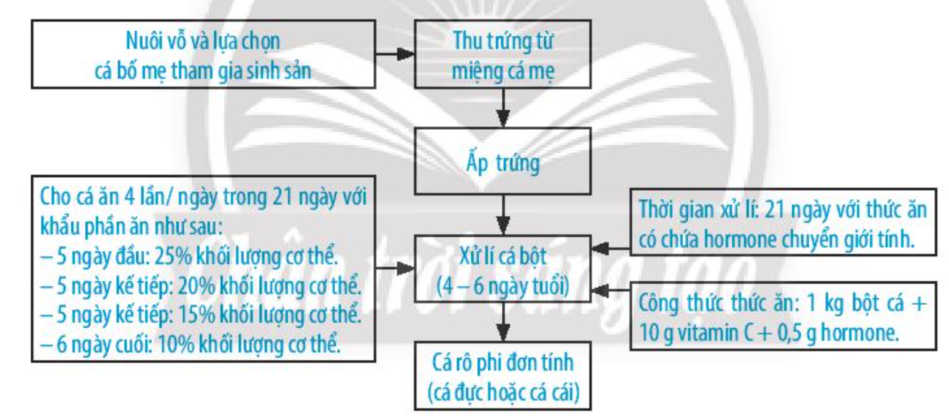 SBT Khoa học tự nhiên 7 Bài 38: Các yếu tố ảnh hưởng đến sinh sản và điều hòa, điều khiển sinh sản ở sinh vật - Chân trời sáng tạo (ảnh 1)