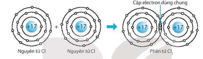 SBT Khoa học tự nhiên 7 Bài 6: Giới thiệu về liên kết hóa học - Kết nối tri thức (ảnh 1)