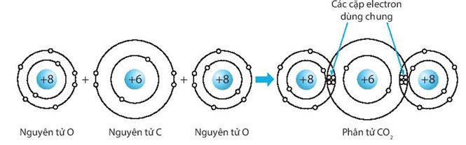 SBT Khoa học tự nhiên 7 Bài 6: Giới thiệu về liên kết hóa học - Kết nối tri thức (ảnh 1)