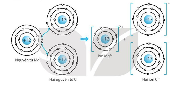 SBT Khoa học tự nhiên 7 Bài 6: Giới thiệu về liên kết hóa học - Kết nối tri thức (ảnh 1)