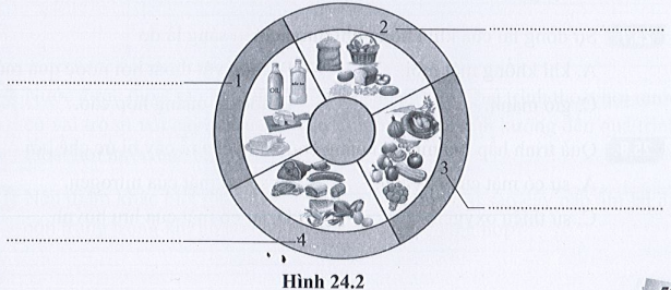 SBT Khoa học tự nhiên 7 Bài 24: Vai trò của nước và các chất dinh dưỡng đối với cơ thể sinh vật - Cánh diều (ảnh 1)