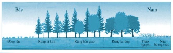 Sách bài tập Địa lí 7 Bài 1: Vị trí địa lí, đặc điểm tự nhiên châu Âu - Kết nối tri thức (ảnh 1)