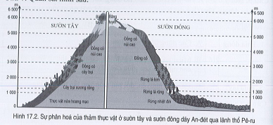 Sách bài tập Địa lí 7 Bài 17: Đặc điểm tự nhiên Trung và Nam Mỹ - Cánh diều (ảnh 1)