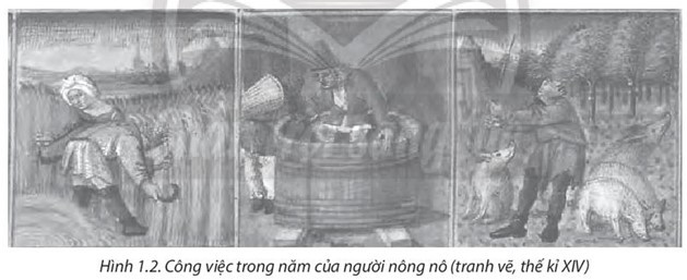 Sách bài tập Lịch sử 7 Bài 1: Quá trình hình thành và phát triển chế độ phong kiến ở Tây Âu - Chân trời sáng tạo (ảnh 1)