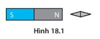 SBT Khoa học tự nhiên 7 Bài 18: Nam châm - Kết nối tri thức (ảnh 1)