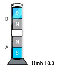 SBT Khoa học tự nhiên 7 Bài 18: Nam châm - Kết nối tri thức (ảnh 1)