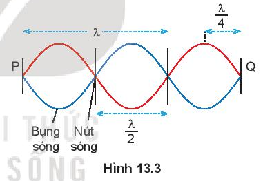 Giải SGK Vật lí 11 Bài 13 (Kết nối tri thức): Sóng dừng (ảnh 2)