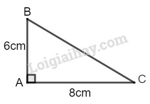 SBT Toán 9 Bài 2: Tỉ số lượng giác của góc nhọn | Giải SBT Toán lớp 9 (ảnh 10)