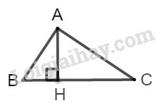 SBT Toán 9 Bài 2: Tỉ số lượng giác của góc nhọn | Giải SBT Toán lớp 9 (ảnh 12)