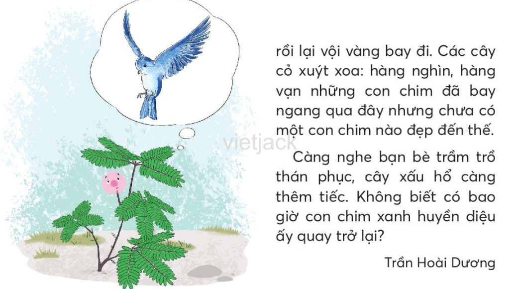 Tiếng Việt lớp 2 Bài 1: Cây nhút nhát trang 114, 115, 116 - Chân trời