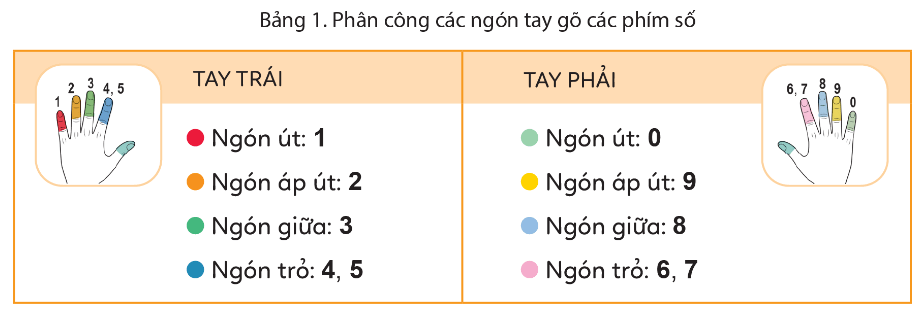 Tin học lớp 4 Cánh diều Bài 1: Em tập gõ hàng phím số