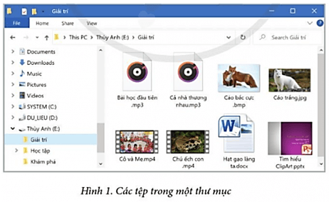 Tin học lớp 3 Bài 1: Sắp xếp phân loại các tệp dữ liệu trong máy tính trang 41, 42 | Cánh diều