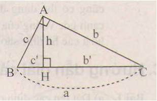 Giải Toán 9 Bài 1: Một số hệ thức về cạnh và đường cao trong tam giác vuông (ảnh 16)