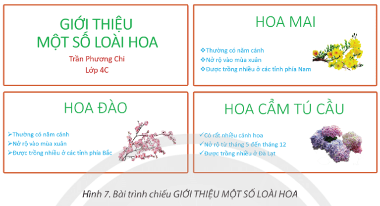 Tin học lớp 4 Chân trời sáng tạo Bài 10: Định dạng, tạo hiệu ứng cho trang chiếu