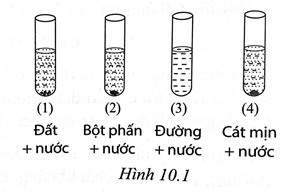 Sách bài tập Khoa học tự nhiên lớp 6 Bài 10: Hỗn hợp, chất tinh khiết, dung dịch | Giải SBT KHTN 6 Cánh diều