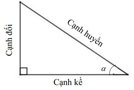 Giải Toán 9 Bài 2: Tỷ số lượng giác của góc nhọn  (ảnh 7)