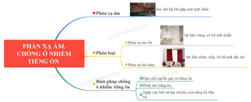 Lý thuyết KHTN 7 Bài 11 (Cánh diều 2022): Phản xạ âm (ảnh 2)