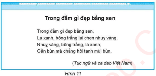 Bài 11: Định dạng văn bản