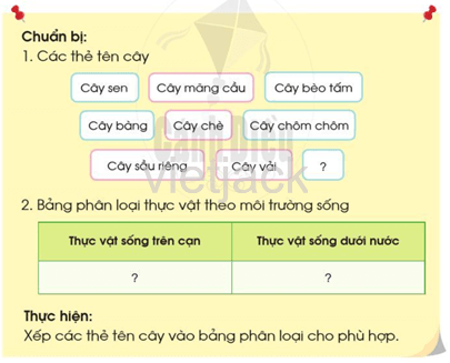 Bài 11: Môi trường sống của thực vật và động vật hay nhất