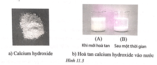 Sách bài tập Khoa học tự nhiên lớp 6 Bài 11: Tách chất ra khỏi hỗn hợp | Giải SBT KHTN 6 Cánh diều