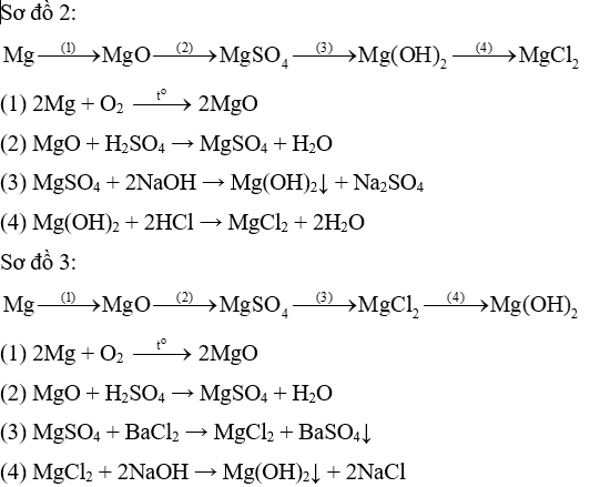 Cho các chất sau Mg MgCl2 MgO Mg(OH)2 MgSO4 