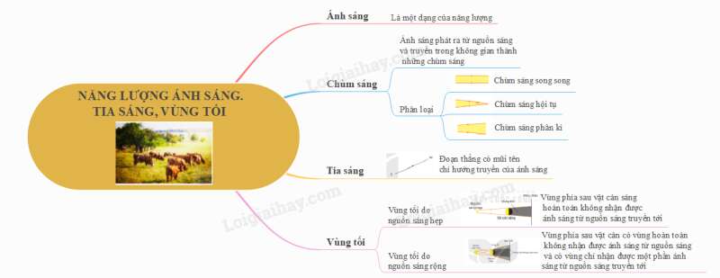 Lý thuyết KHTN 7 Bài 12 (Cánh diều 2022): Ánh sáng, tia sáng (ảnh 12)