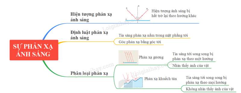 Lý thuyết KHTN 7 Bài 13 (Cánh diều 2022): Sự phản xạ ánh sáng (ảnh 5)