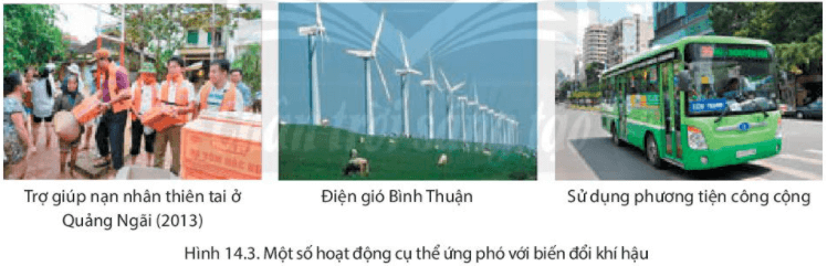 Bài 14. Biến đổi khí hậu và ứng phó với biến đổi khí hậu