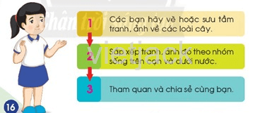 Bài 14: Thực vật sống ở đâu