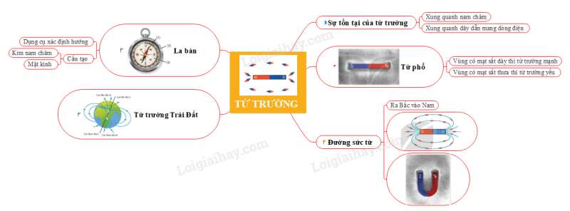 Lý thuyết KHTN 7 Bài 15 (Cánh diều 2022): Từ trường (ảnh 4)