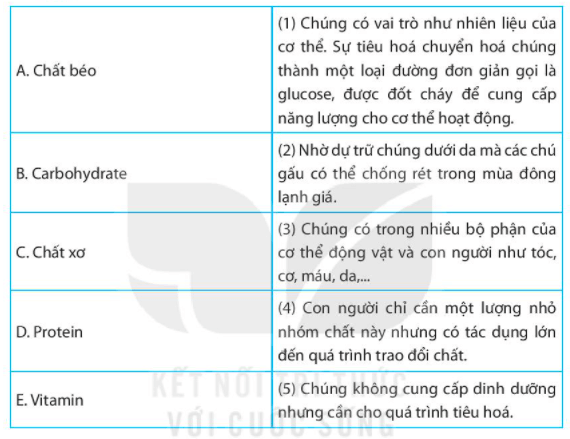 Bài 15. Một số lương thực, thực phẩm