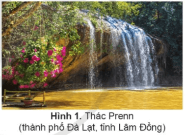 Lịch Sử và Địa Lí lớp 4 Cánh diều Bài 15: Thiên nhiên vùng Tây Nguyên (ảnh 1)