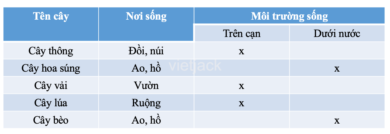 Bài 16: Thực vật sống ở đâu