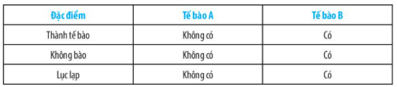 Bài 17: Tế bào