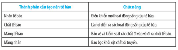 Bài 17: Tế bào