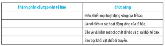 Bài 17: Tế bào